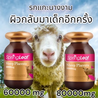 ภาพหน้าปกสินค้าขายส่ง Springleaf Sheep Placenta รกแกะนางงามออสเตรเลีย แท้การันตี ที่เกี่ยวข้อง