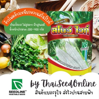 อินทรีย์็ด ใหม่็ด พิเศษ!! ปรับเพิ่มความหวานอีก15% ใหม่ข้าวโพดลูกผสม ข้าวโพดข้าวเหนียวสโนว์ไวท์ ตราซีดไลน์ Waxy C คละ