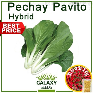 []] เมนิด้า Pechay CTO CTO CTO (/-600เม็ตต์) V6-Hybrid Pechaymatern/◀◀◀/// 66PN