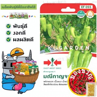 เมล็ดพันธุ์/SORNDAENG  ผักซอง ศรแดง S055# พริกหยวก มณีกาญจน์ F1 พริก East-West Seed เมล็ดพันธุ์ผัก เมล็ดพันธุ์ ผักสวนครั