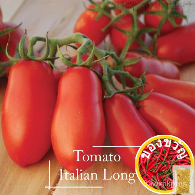 heirloom-organic-italian-long-tomato-seeds-20-seed-appro-hallosan-mazorna-ผัวนม-ตอกย้ำ-fmn5
