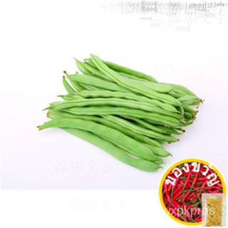 5ชิ้นเมล็ดถั่วลิสง snaps/pole Bean เมล็ด /tch/ ผั่ง/ หงอก/ทานตะวัน/ทานตะวัน/เม็งแรง/กุหลาบ/กางเกงใน/กระโปรง/ขึง VXZX