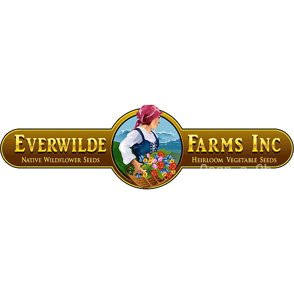 เมล็ด-500เมล็ดบร็อคโคลี่ผักชีสีเขียว-everwilde-farms-mylar-seed-package-ผักชี-ผักชี