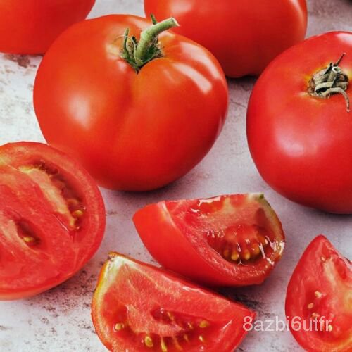 เมล็ด-tomato-strolee-คอนเฟิร์ม-50-seedsfruitheirloom-สวนผัก-มะเขือ