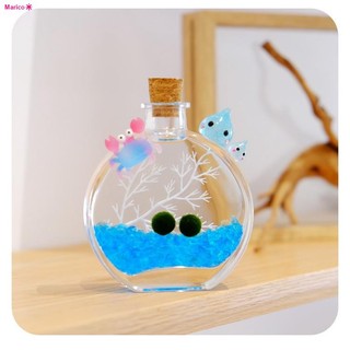 COD(พร้อมส่ง100%) มาริโมะ Marimo Set ขวดทรงน้ำหอม แถมฟรีอุปกรณ์ครบชุด ...