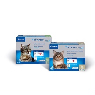 EFFIPRO DUO Spot-on Solution for cats ยาหยอดแมว เห็บ หมัด แมว สำหรับแมว บรรจุ 4 หลอด  1 กล่อง