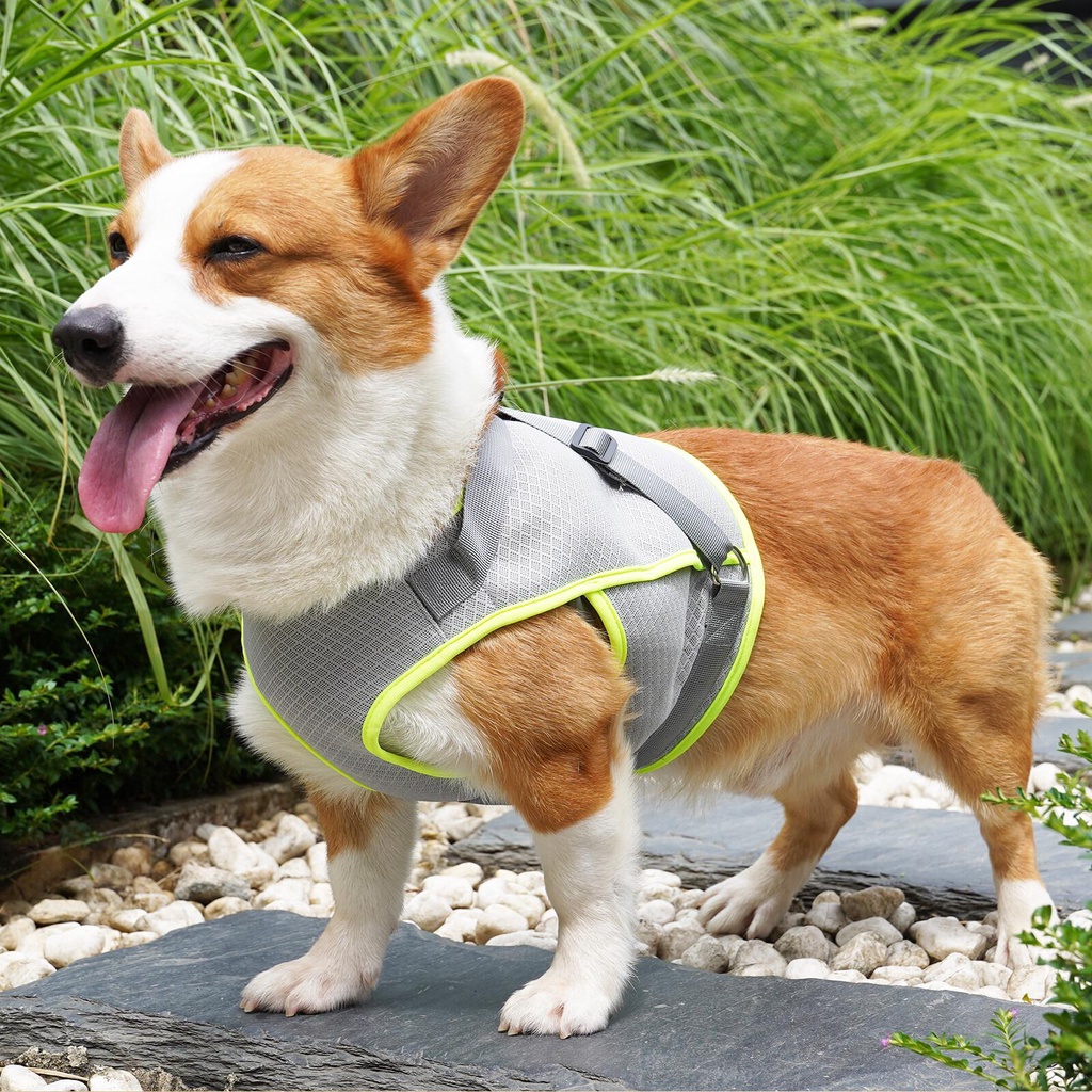 แจ็คเก็ตคูลเลอร์เสื้อกั๊กระบายความร้อนสำหรับสุนัขสำหรับเดินกลางแจ้ง-ไม่ต้องดึงดึงหรือสำลักอีกต่อไป
