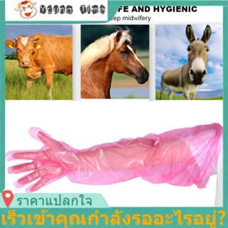 【ถุงมือพลาสติก】Veterinary Gloves, 50Pcs Sleeve Glove, for Veterinary Livestock