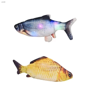 fish head ราคาพิเศษ  ซื้อออนไลน์ที่ Shopee ส่งฟรี*ทั่วไทย!