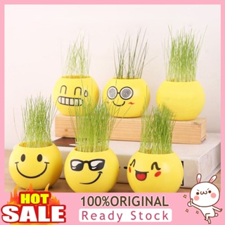 [B_398] Cute Plastic Pot Mini Emoji DIY Grass Planting Home Desktop Window Flowerpot