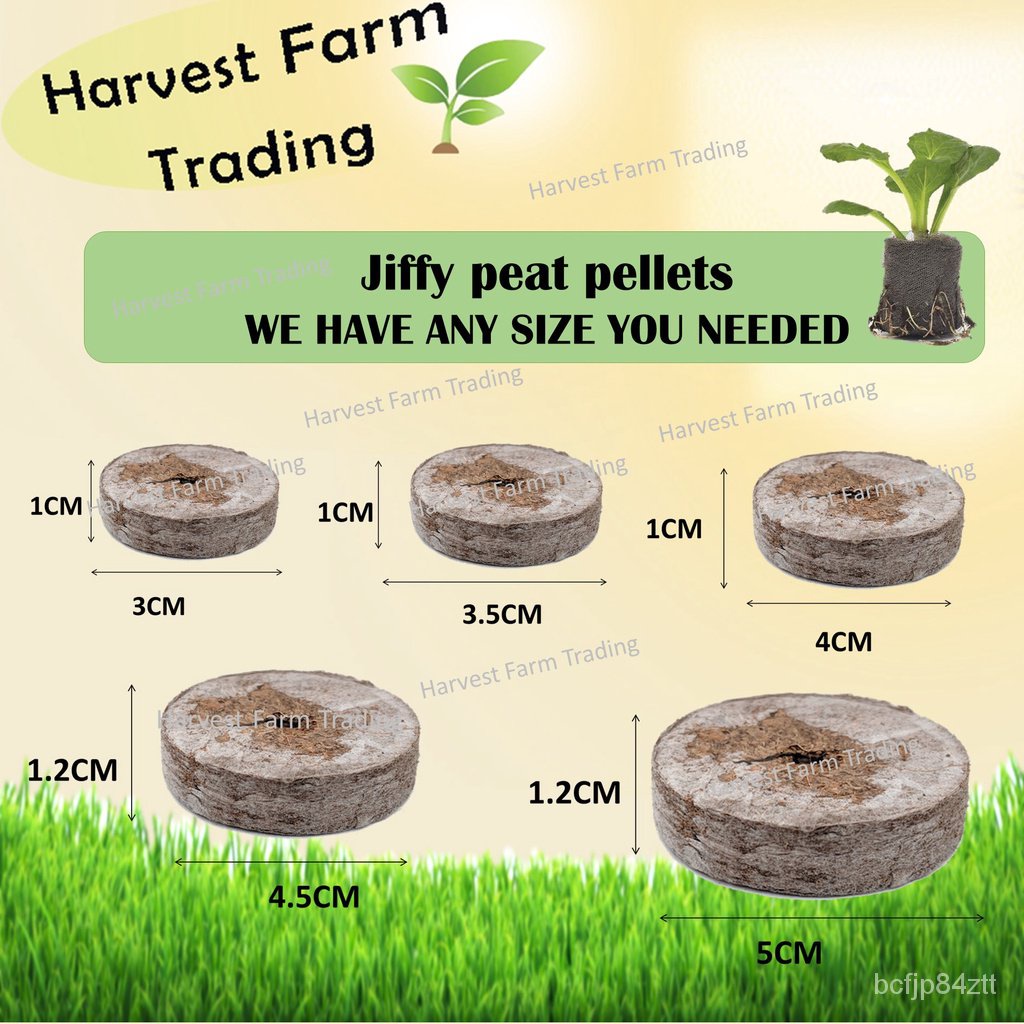 Jiffy Peat Pellet 5 Saiz 30มม. 44มม. เริ่มต้นเมล็ดพาเลทสื่อ Semai Benih