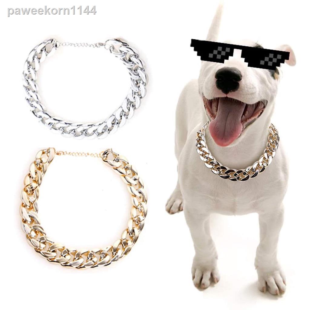 Pitbull with gold chain hot sale