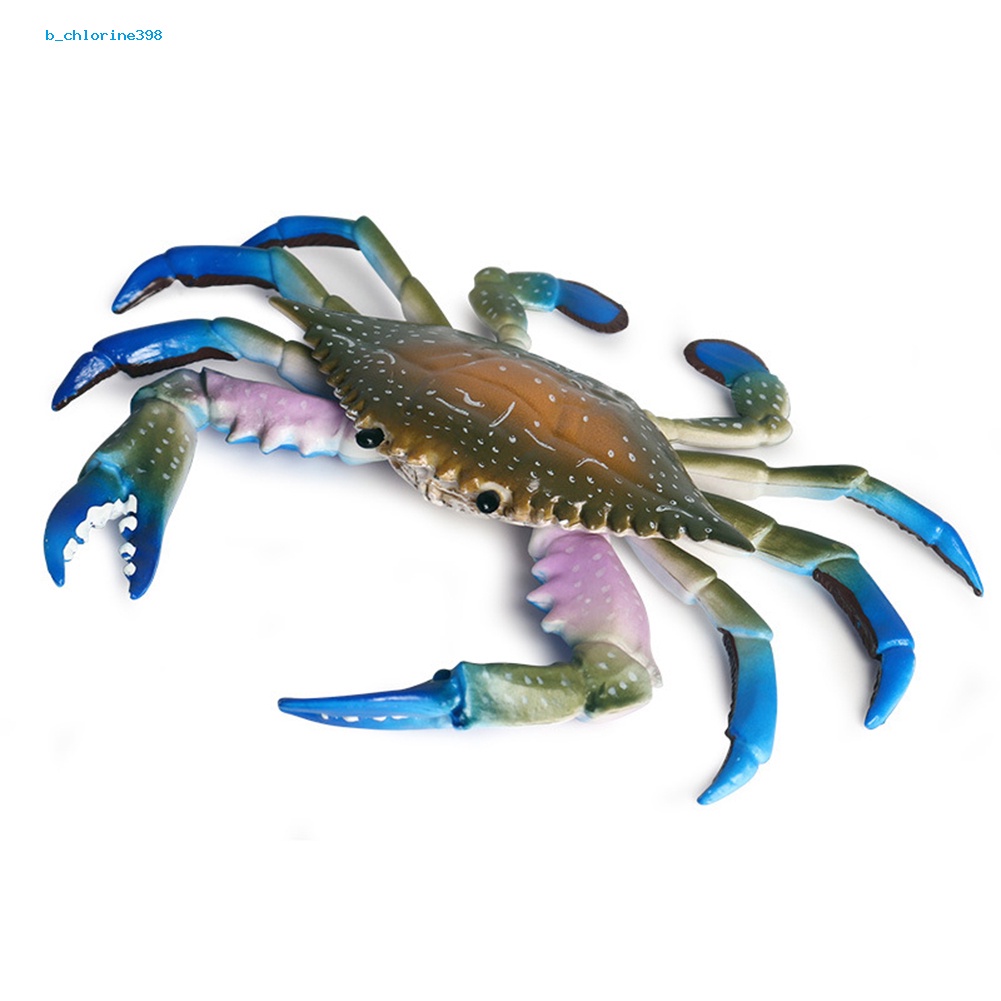 b-chlorine398-simulation-hermit-crab-marine-animal-pvc-model-desktop-decor-education-kids-toy