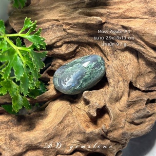 Moss Agate | มอสอาเกต #4 ☘️ #tumbled หินแห่งความอุดมสมบูรณ์ - AD gemstone