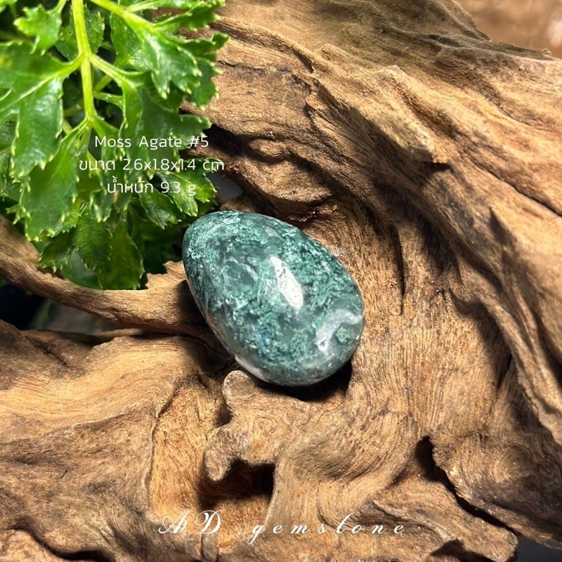 moss-agate-มอสอาเกต-5-tumbled-หินแห่งความอุดมสมบูรณ์-ad-gemstone