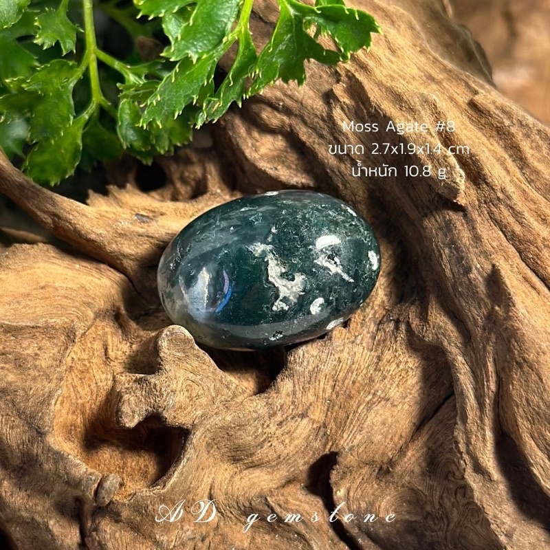 moss-agate-มอสอาเกต-8-tumbled-หินแห่งความอุดมสมบูรณ์-ad-gemstone