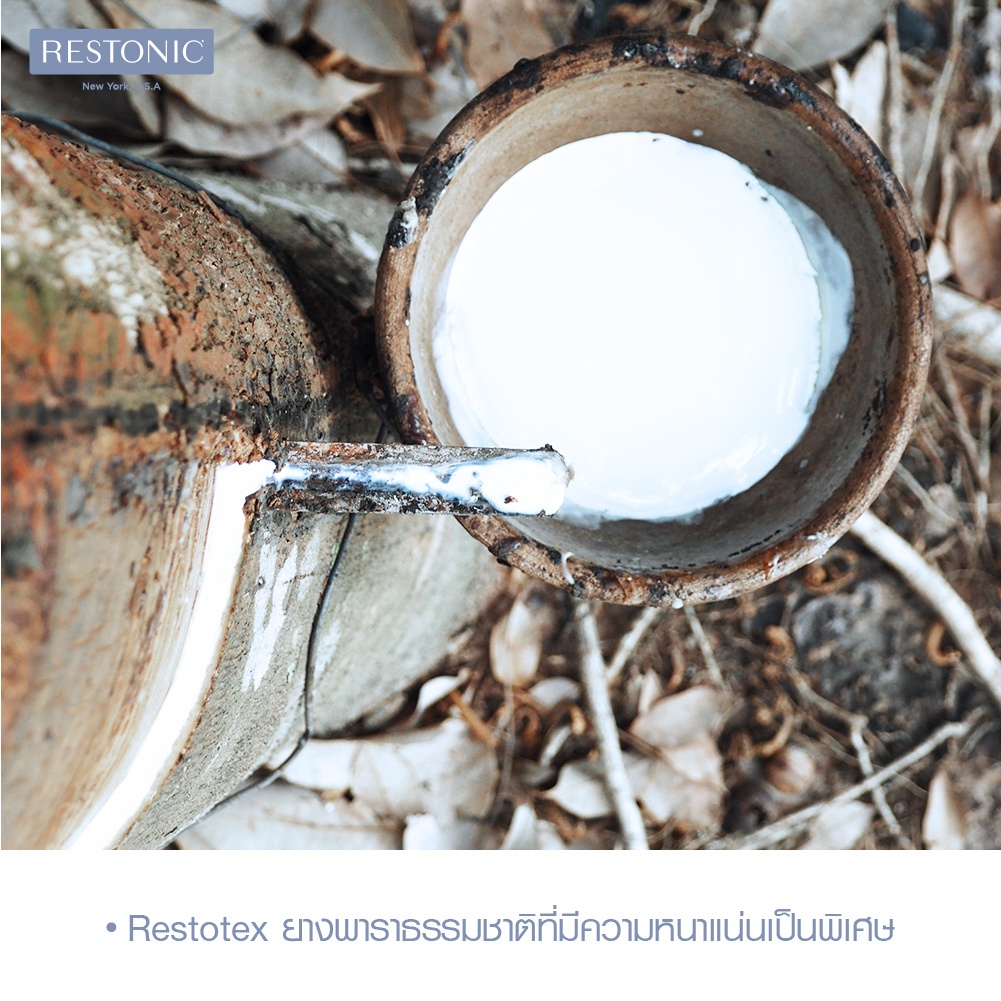 restonic-ที่นอน-รุ่น-refine-5900-ส่งฟรี