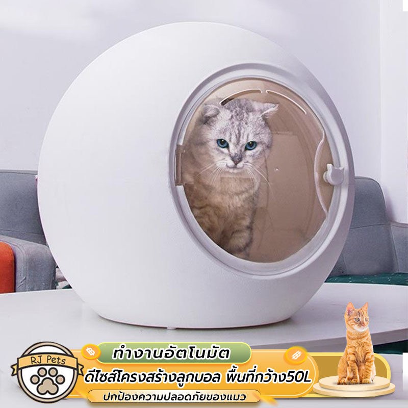 เครื่องเป่าขนแมว-pet-grooming-dryer-ตู้เป่าขนแมว-เครื่องเป่าสัตว์เลี้ยง-ตู้อบแมว-ไดร์เป่าผมสำหรับสุนัข-ไดร์เป่าผมสำหรับส