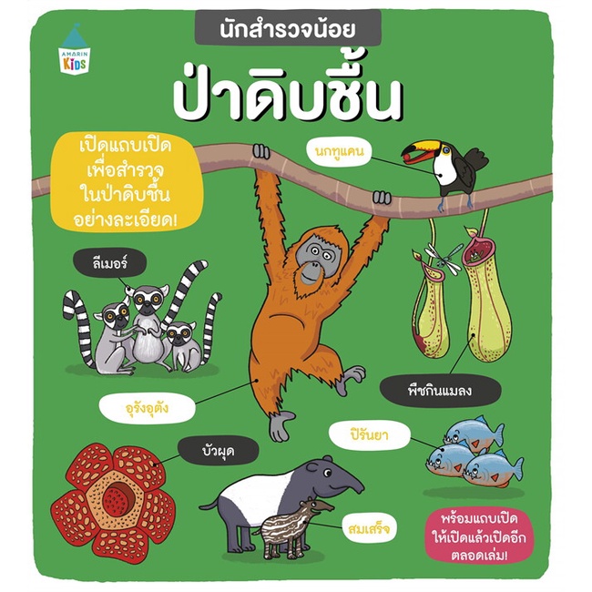 หนังสือ-นักสำรวจน้อย-ป่าดิบชื้น-ผู้เขียน-ฟีบี้-จัสคอร์ส-คาร์ลี่-เบลค-อ่านเพลิน