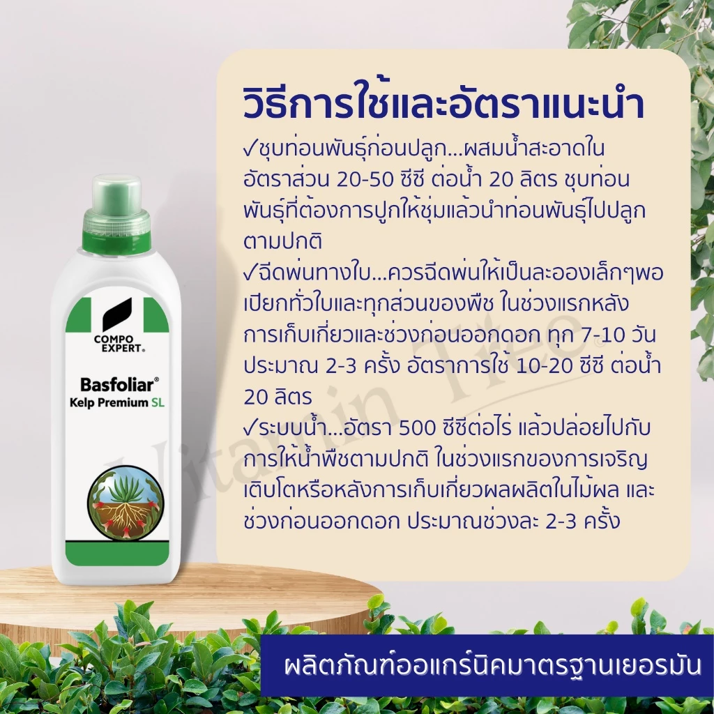 บลาสโฟเลียร์ เคลป์ โอ สารกระตุ้นการเจริญเติบโต เร่งราก เปิดตาดอก ออแกร์นิค 100% นำเข้าจากเยอรมัน 2