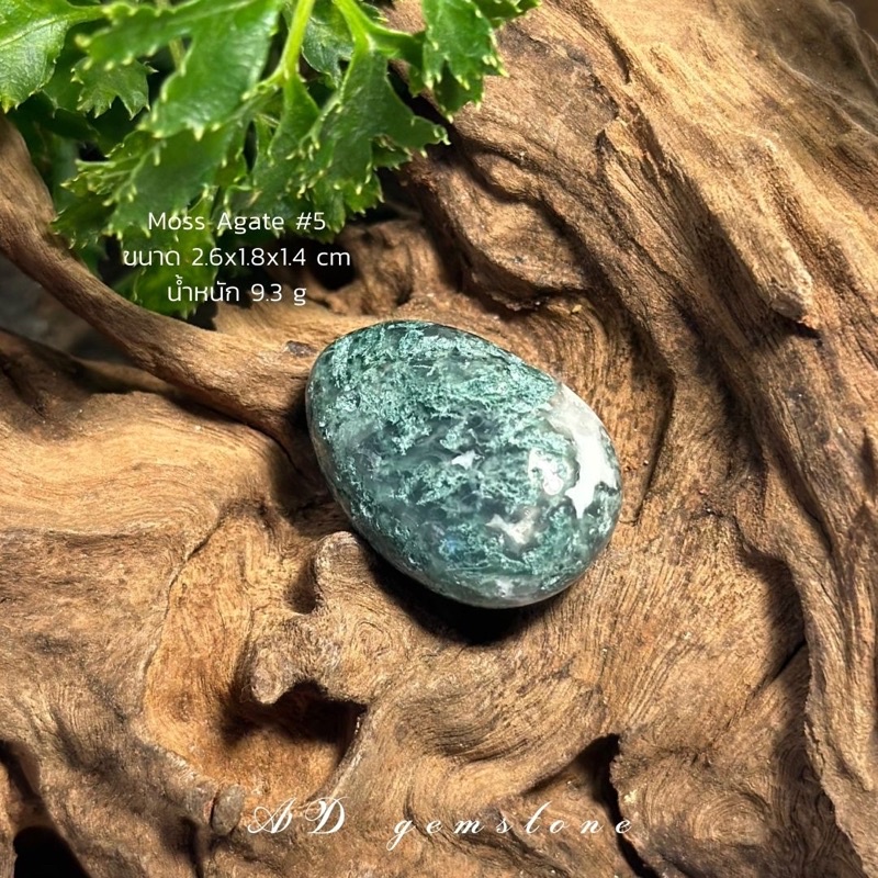 moss-agate-มอสอาเกต-5-tumbled-หินแห่งความอุดมสมบูรณ์-ad-gemstone