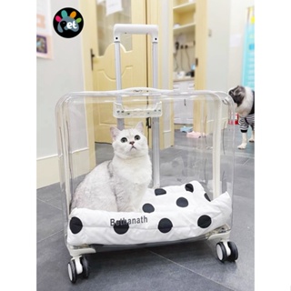 ✽Cat Bag Trolley Case Transparent Dog Space Capsule Pet Going Out Portable Suitcase Cat Cart Large Capacity 2
