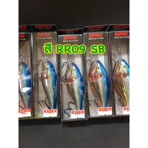 เหยื่อ-rapala-rr-9