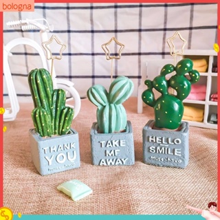 (Bologna) Cute Cactus Bonsai Potted Plant Po Card Memo Note Holder Clip Desk Decor