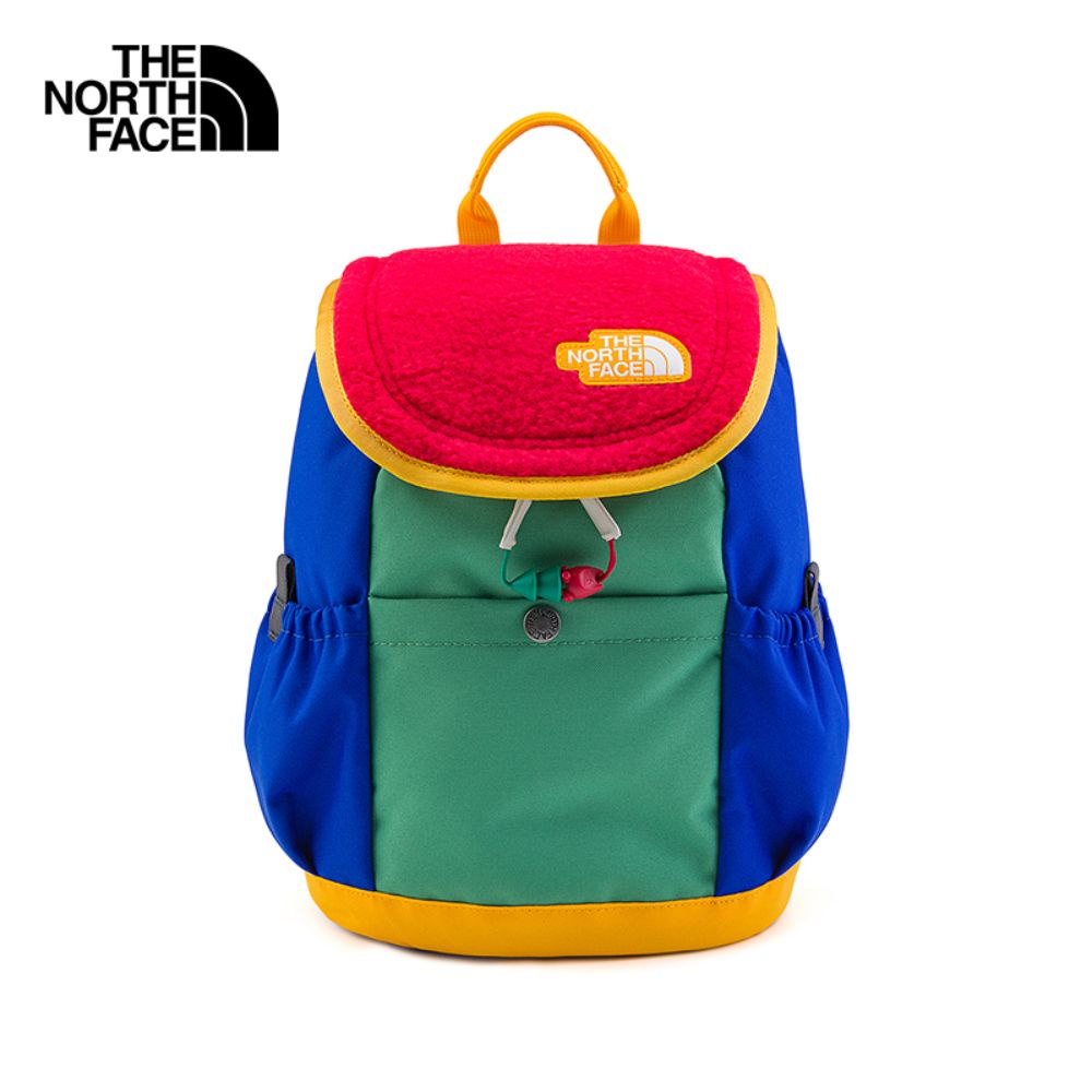 The north sales face mini