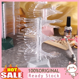 [B_398] 1 Set Nail Display Reusable DIY Lightweight FALSE Nails Display Shelf Practice Tool Household Supplies