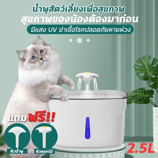 น้ำพุสัตว์เลี้ยง น้ำพุแมว 2.5L น้ำพุให้น้ำดื่มสัตว์เลี้ยงอัตโนมัต (เกรดA วัสดุคุณภาพสูง) น้ำพุแมว ถังให้น้ำสัตว์เลี้ยง