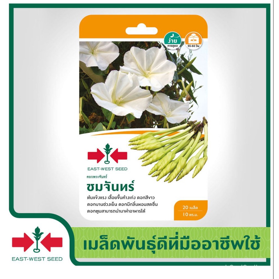 อินทรีย์็ด-อินทรีย์็ด-east-west-seed-อินทรีย์บาทพระจันทร์-moonflower-seeds-ชมจันทร์-อินทรีย์อินทรีย์-อินทรีย์-ผั