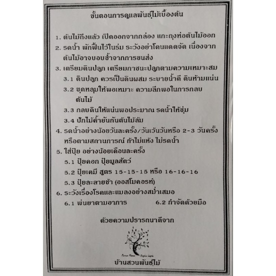 ต้นมะม่วง-พันธุ์มหาชนก