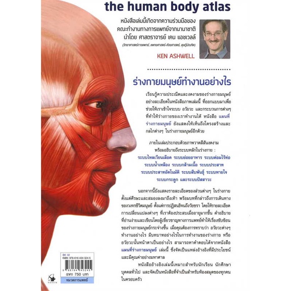 หนังสือ-แผนที่ร่างกายมนุษย์-ปกอ่อน-สนพ-แอร์โรว์-มัลติมีเดีย-ชื่อผู้แต่งเคน-แอชเวลล์