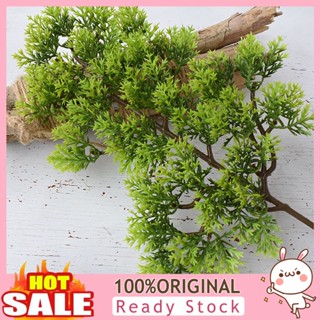 [B_398] 1Pc Plastic Fake Artificial Cypress Plant Bonsai Home Office Decor