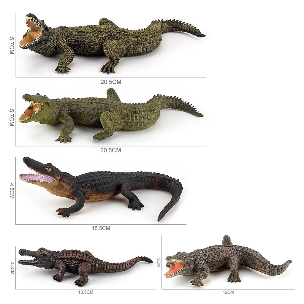 b-398-simulation-crocodile-realistic-practical-funny-science-educational-crocodile-figure-for-kids