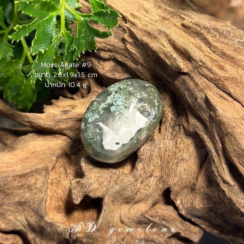 moss-agate-มอสอาเกต-9-tumbled-หินแห่งความอุดมสมบูรณ์-ad-gemstone