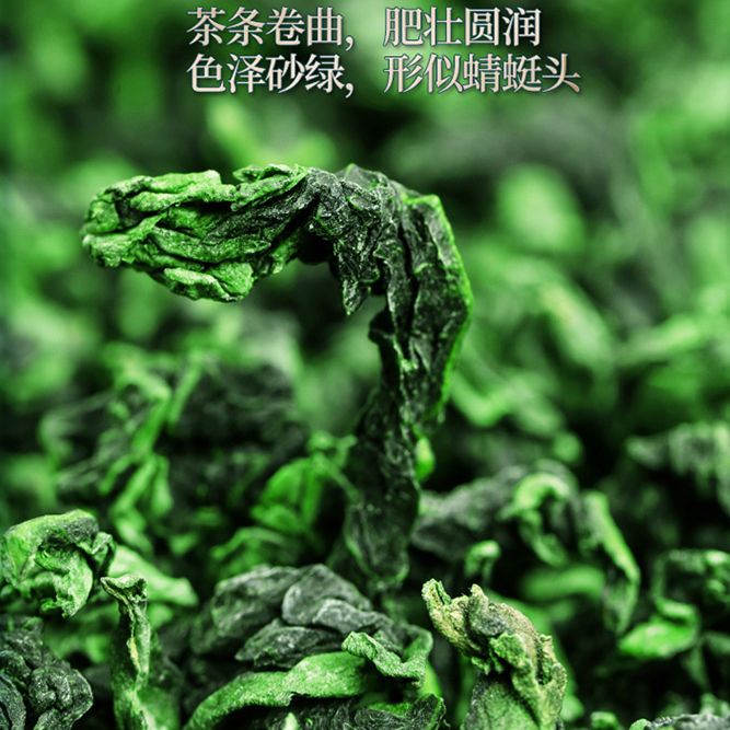 ผลิตและจำหน่าย-เกรดพิเศษ-tieguanyin-2023-ชาใหม่เกรดพิเศษชาเขียว-anxi-ชาอูหลงกระป๋อง-500g