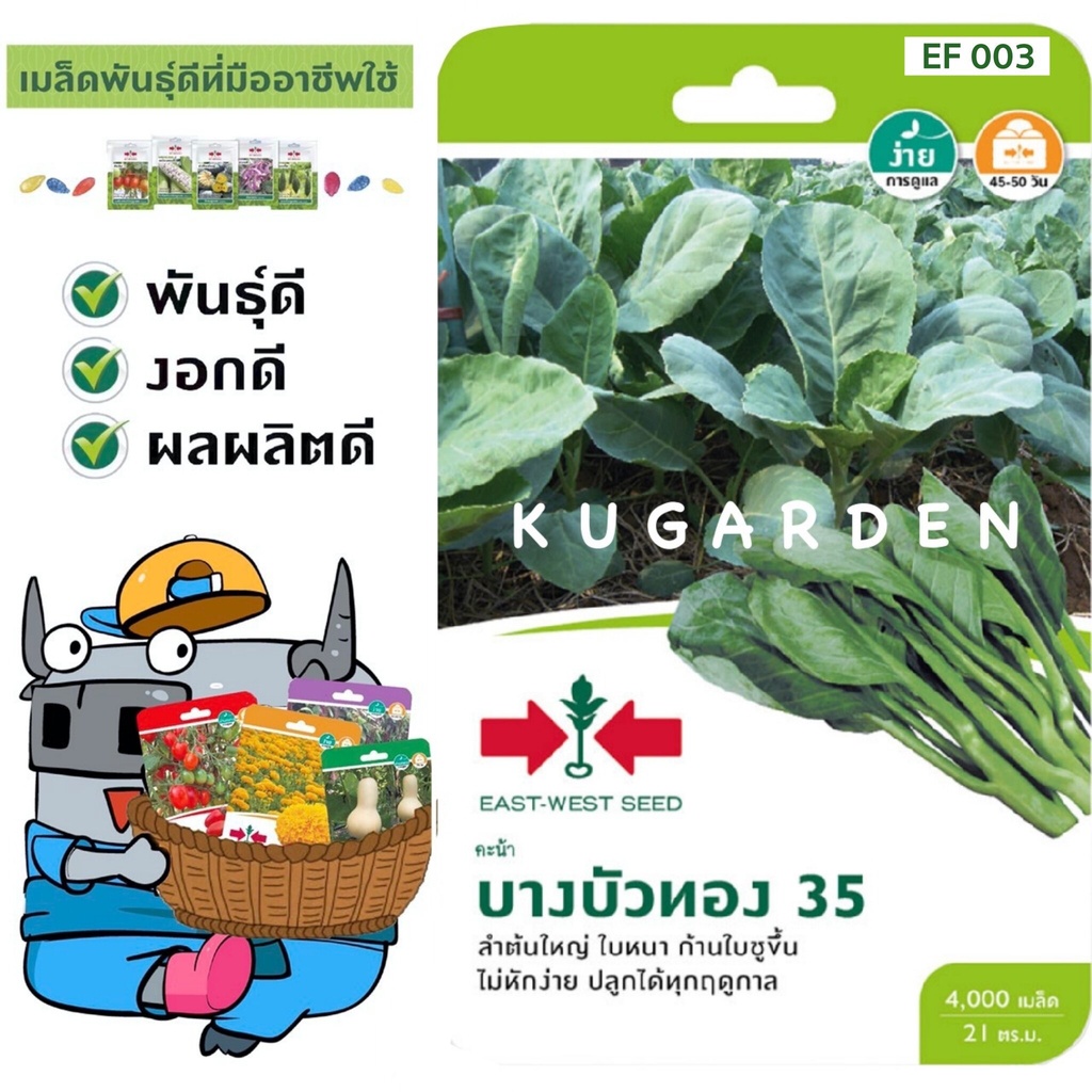 เมล็ด-เพาะ-sorndaeng-ใหม่เพาะ-ศรแดง-s003-เพาะ-บางบัวทอง-35-east-west-seed-kale-seeds-ใหม่ใหม่-ใหม่-ผ-ถู-ผักบุ