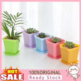 [B_398] Square Plastic Flower Succulent Pot Planting Holder with Tray