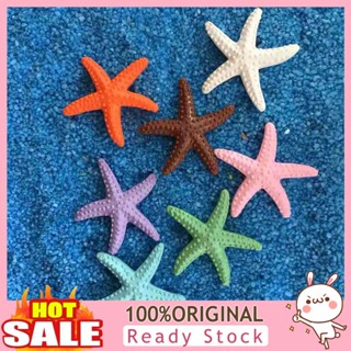 [B_398] Simulation Starfish Lifelike Realistic Cute Artificial Sea for Wall