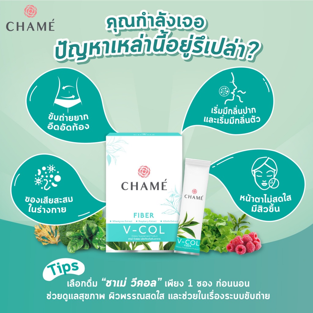 ภาพสินค้าCHAME' V-COL 5 ซอง 3 กล่อง (ดูแลสุขภาพผิวจากภายในสู่ภายนอก) ดีท็อกซ์สิ่งตกค้างในลำไส้ พุงยุบ หุ่นสวย ขับถ่ายง่าย จากร้าน chame_official บน Shopee ภาพที่ 2