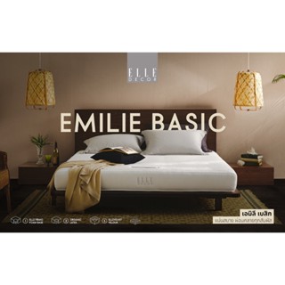 Elle Decor ที่นอนยางพาราแท้ สเปคแน่นสบาย รุ่น Emilie Basic หนา 8 นิ้ว ฟรีของสมนาคุณตามขนาดที่นอน ส่งฟรี