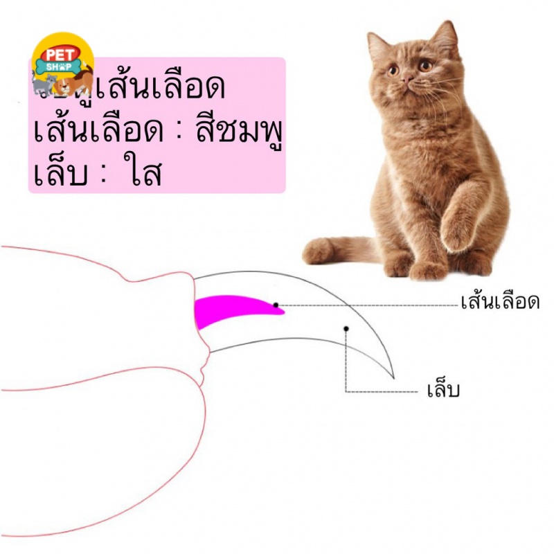 กรรไกรตัดเล็บสัตว์เลี้ยง-แมว-หมา-กระต่าย-ที่ตัดเล็บแมว-สุนัข-ตะไบลับเล็บแมว-ราคาถูก-พร้อมส่ง