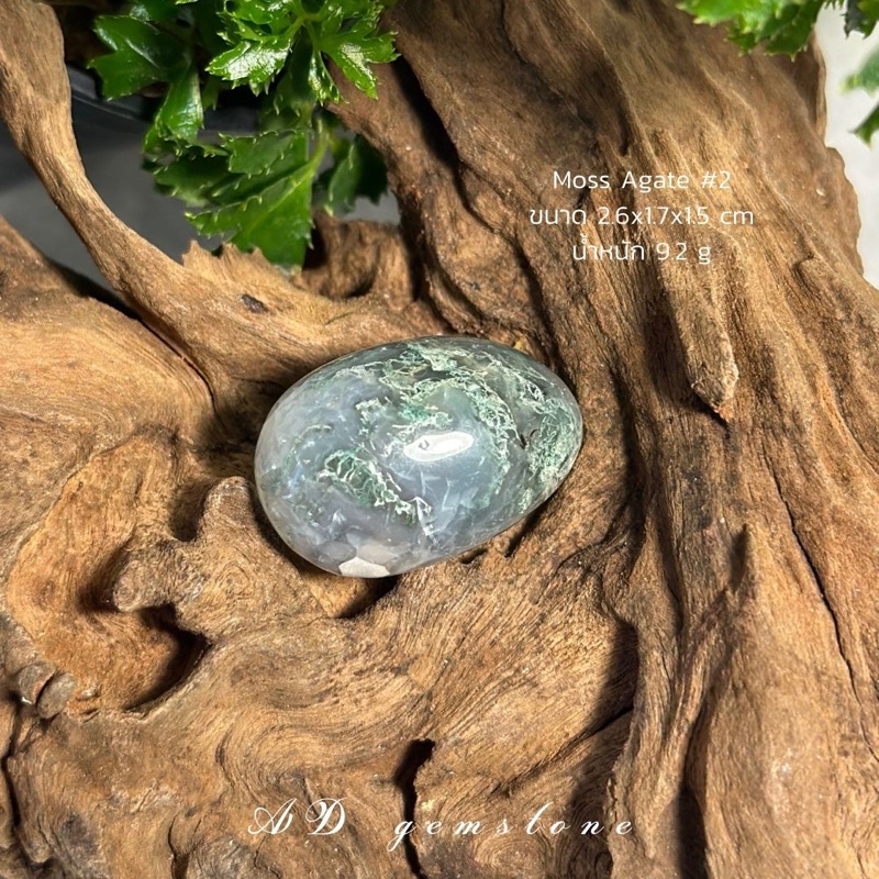 moss-agate-มอสอาเกต-2-tumbled-หินแห่งความอุดมสมบูรณ์-ad-gemstone