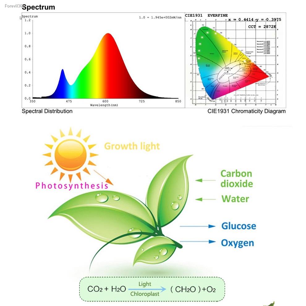 พร้อมสต็อก-220v-full-spectrum-led-grow-light-50-100w-300w-ไฟปลุกต้นไม้-ไฟช่วยต้นไม้ตัวเร็ว-แสงขาว-มีสวิตช์ปิดเปิด-สายไฟ