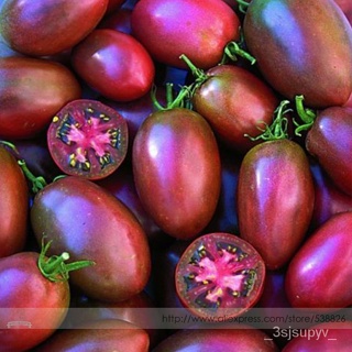 Ukrainian Purple Tomato Seeds, Professional Pack, 100 Seeds / Pack, Great Sweet Meaty Plum Shaped 3-4&amp;#39;&amp;#39; Long #TS