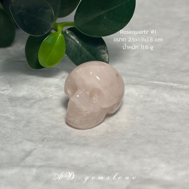 rosequartz-โรสควอตซ์-1-หัวกระโหลก-หินแห่งความรัก-และการให้อภัย-ad-gemstone