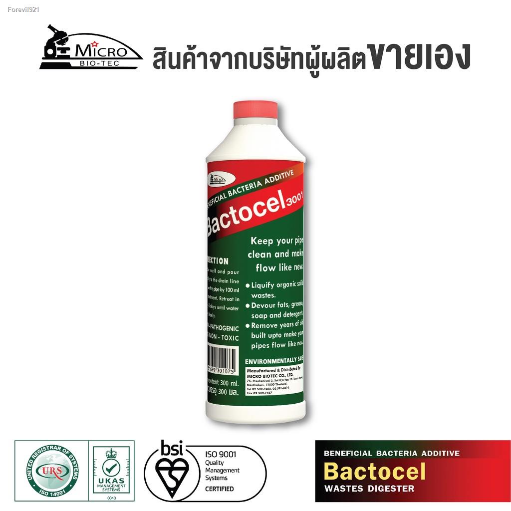 พร้อมสต็อก-แบคโตเซล-bactocel-3001-300cc-กำจัดกลิ่นไขมัน-กำจัดไขมัน-ในบ่อดัก-กลิ่นเหม็นไขมัน-สลายไขมันในท่อ-เศษอาหารอุด