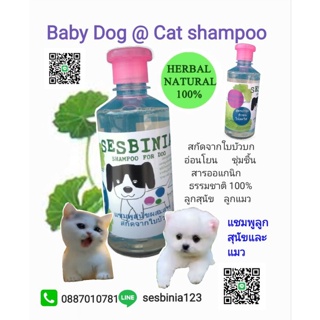 แชมพูสุนัขแมวใบบัวบก. Baby Dog & cat shampoo